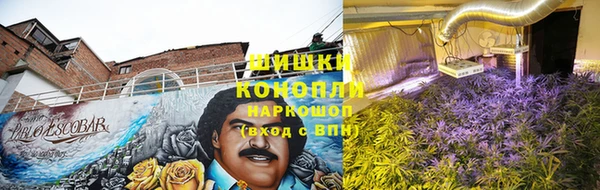 трава Вяземский