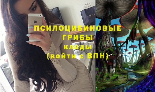 шишки Вязники